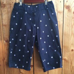 NWT Briggs New York Blue Capris w/ Daisy Stitching